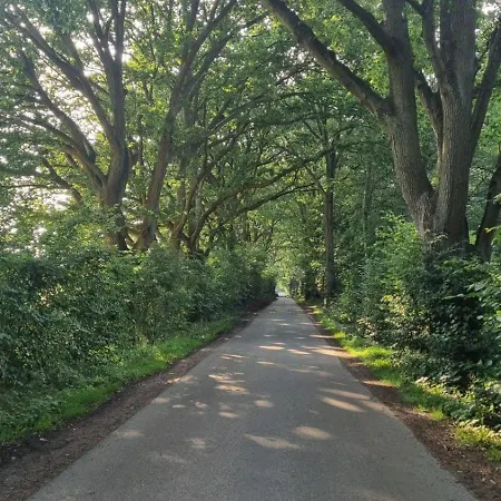 Wunderschoene Im Gruenen Apartment *
