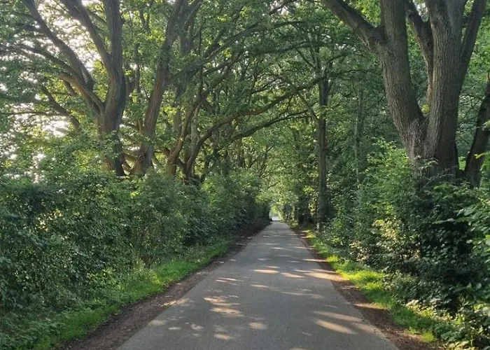 Wunderschoene Im Gruenen Lägenhet *
